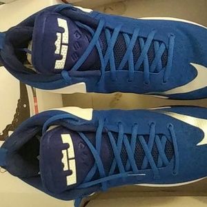 LeBron sneakers